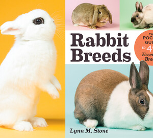 Rabbit Breeds